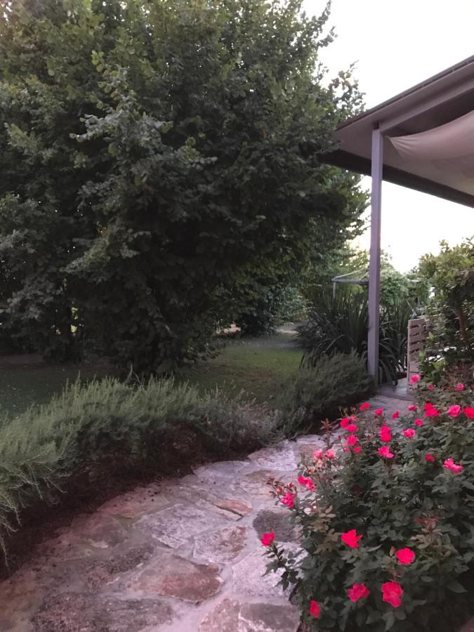 Ca' Borgo Delle Rane Hotel Pernumia Buitenkant foto