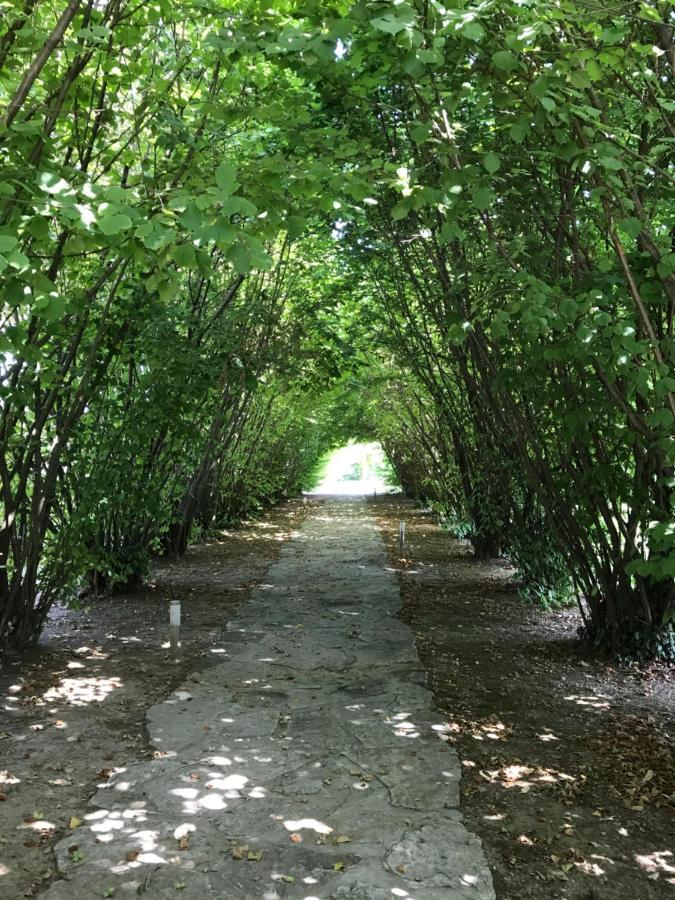 Ca' Borgo Delle Rane Hotel Pernumia Buitenkant foto